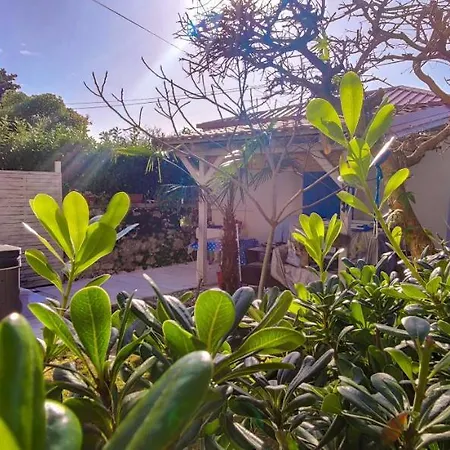 Beachfront House With Private Jacuzzi And Garden Appartement *